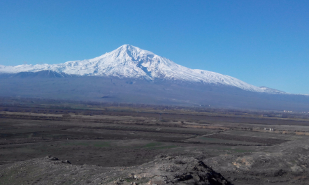 photo 1245777