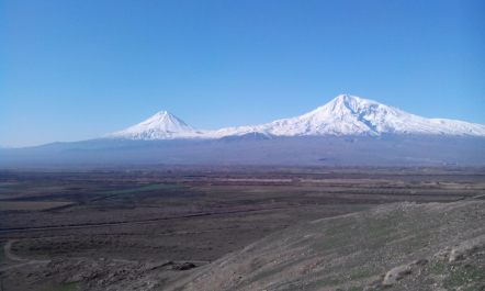 photo 1245779