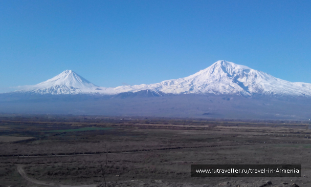 photo 1245781