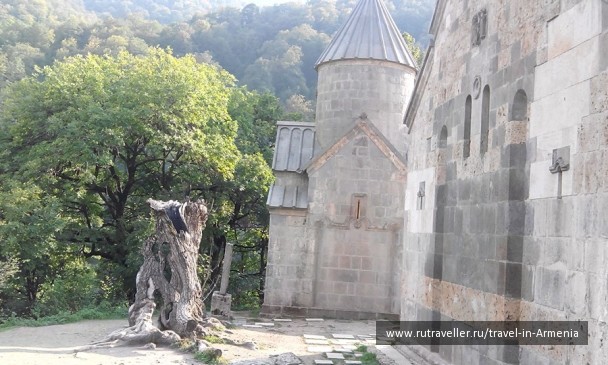 photo 1212561