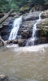 photo 1208399