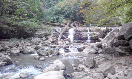 photo 1208400