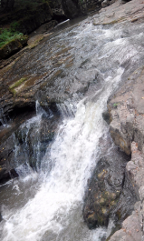 photo 1208402