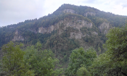 photo 1208404