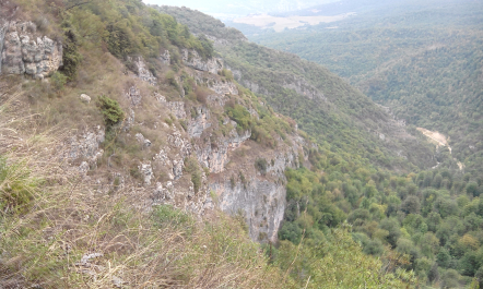 photo 1208407