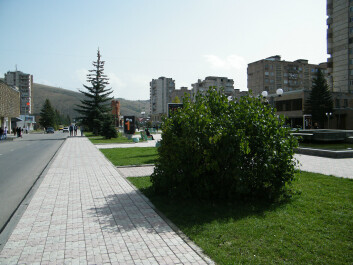 photo 1211855