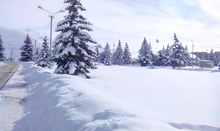 photo 1217226