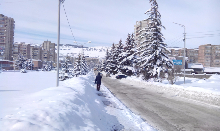 photo 1217227