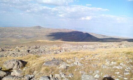 photo 1212508