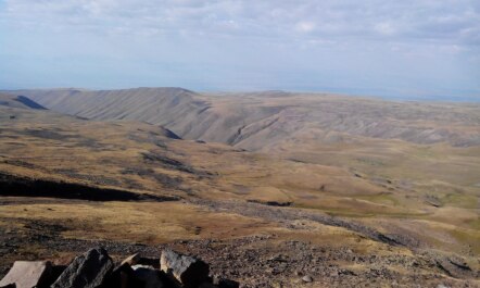 photo 1212509