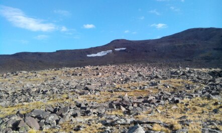 photo 1212516