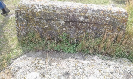 photo 1216288