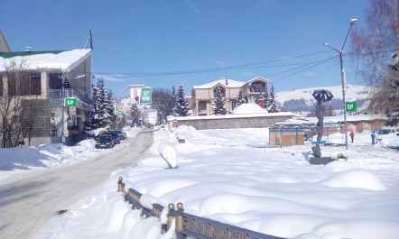 photo 1218114