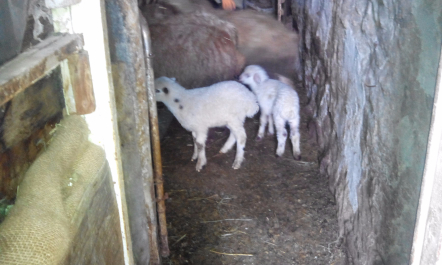photo 1256159
