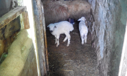photo 1256160