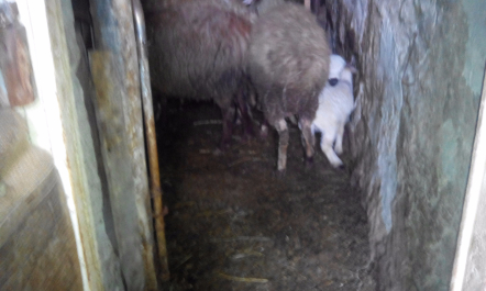 photo 1256161