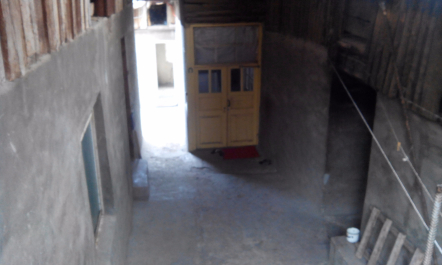photo 1256166