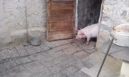 photo 1256169