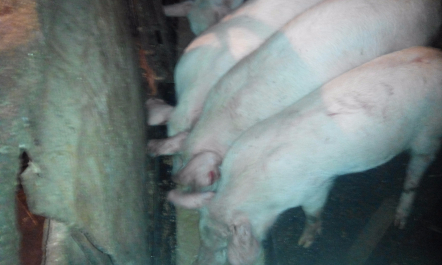 photo 1256170