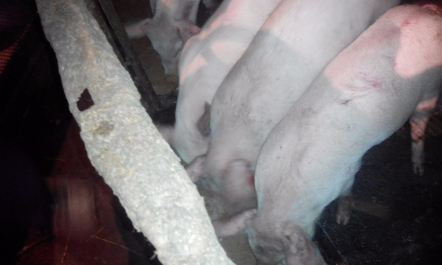 photo 1256171