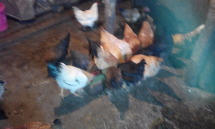 photo 1256173