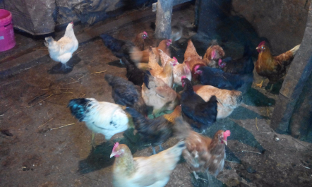 photo 1256174