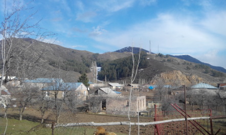 photo 1256229