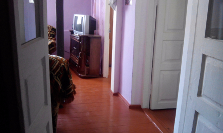 photo 1300367