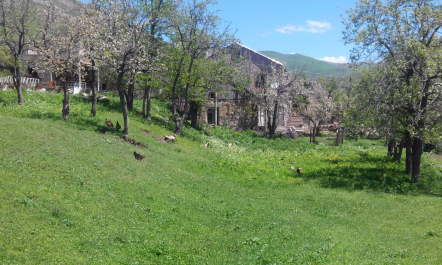photo 1300392