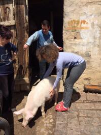 photo 1304883