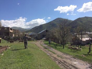 photo 1304885