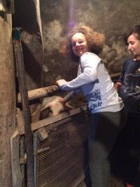 photo 1304886