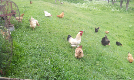 photo 1341558