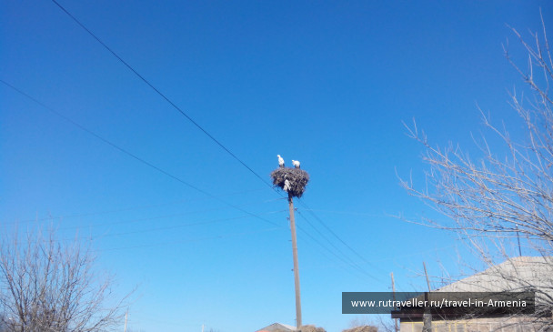 photo 1260088