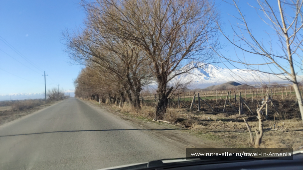 photo 1857303
