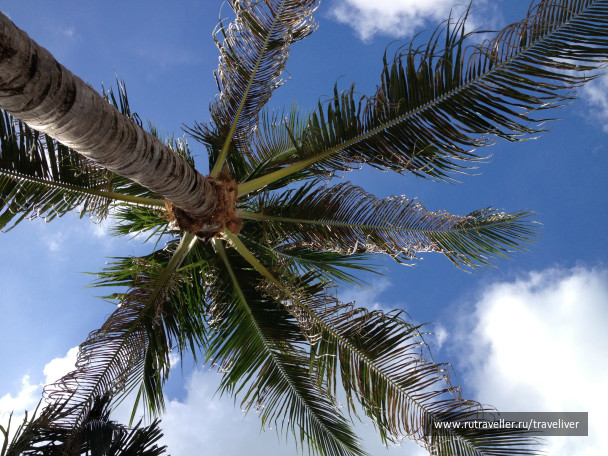 photo 250282