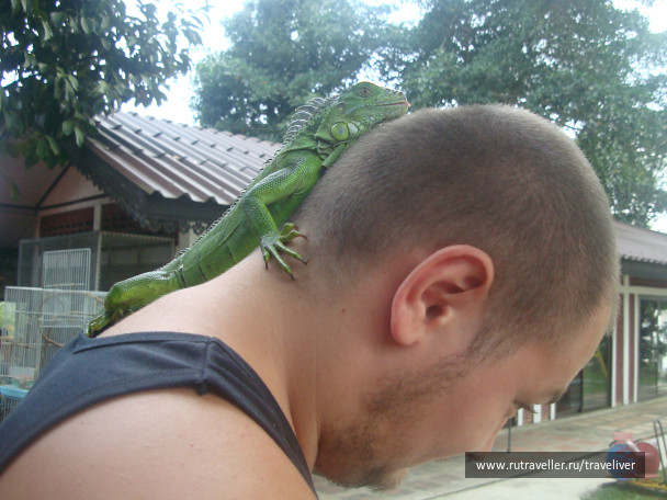 photo 250301