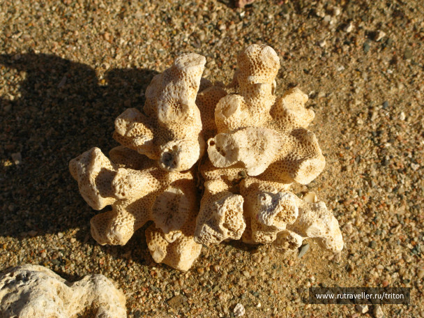 photo 42023