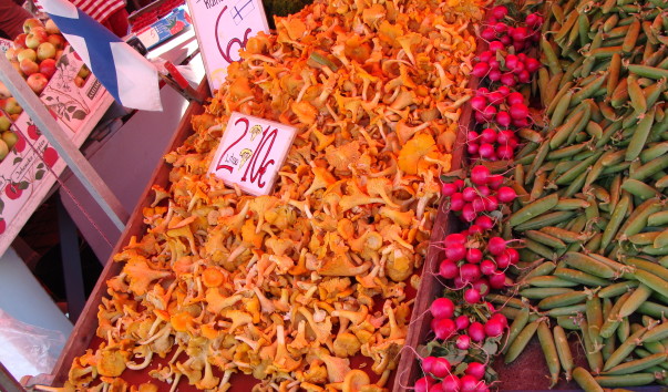 DSC00172