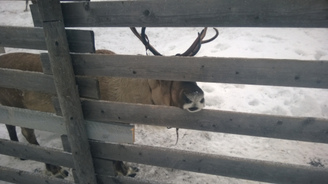 photo 679679