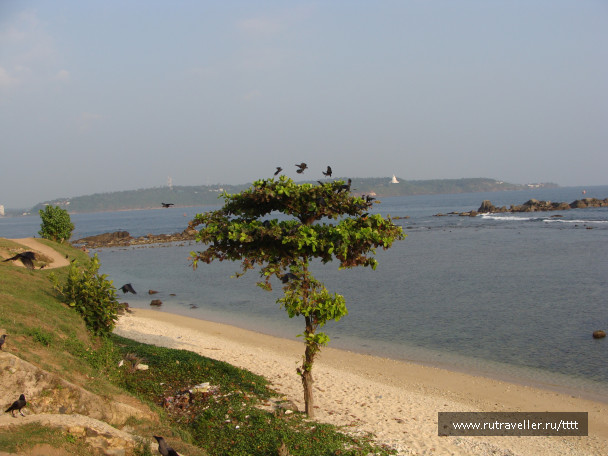 photo 1447235