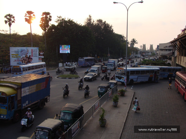photo 1447239