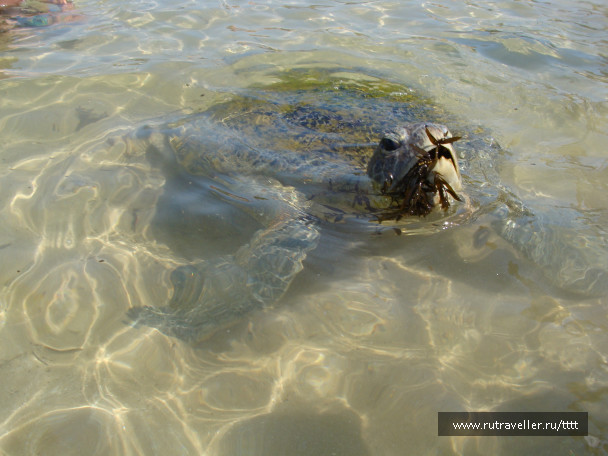 photo 1447241