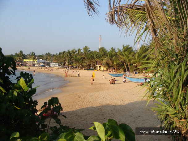 photo 1447251