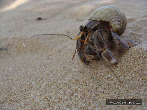 photo 1447253