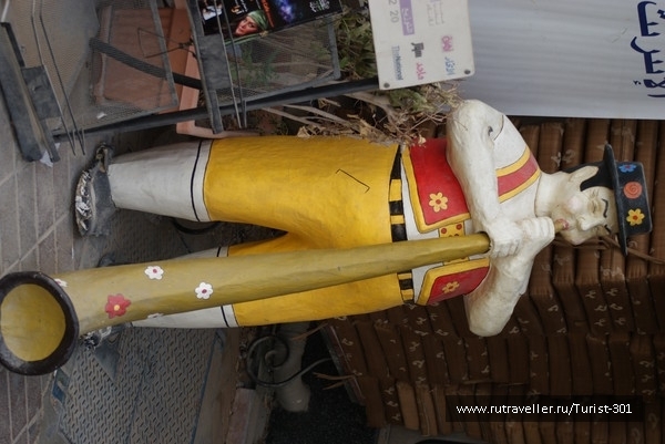 photo 462414