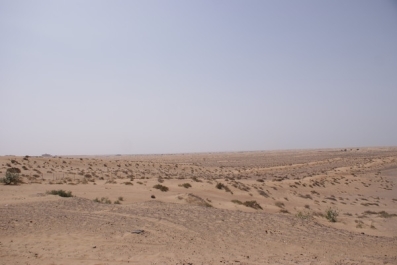 photo 464051