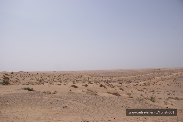 photo 464051