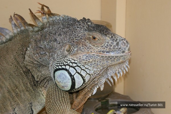 photo 462548