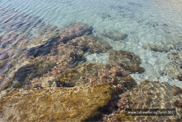 photo 462630